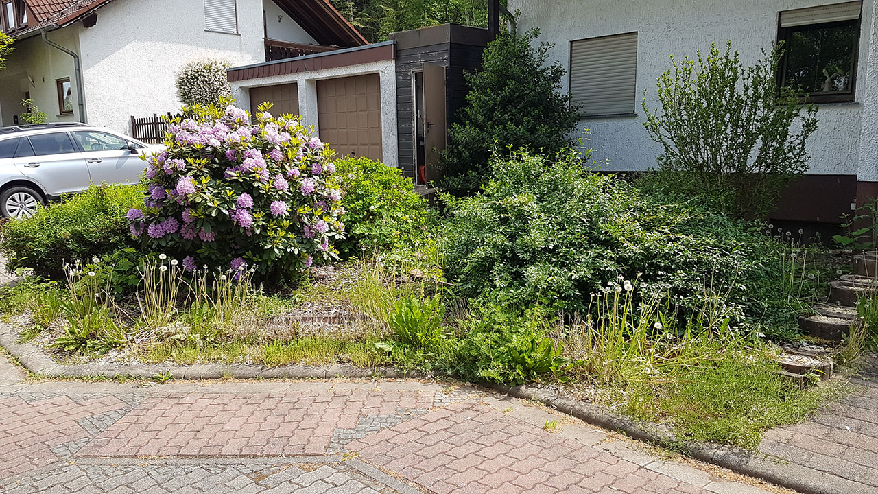 Vorher 1