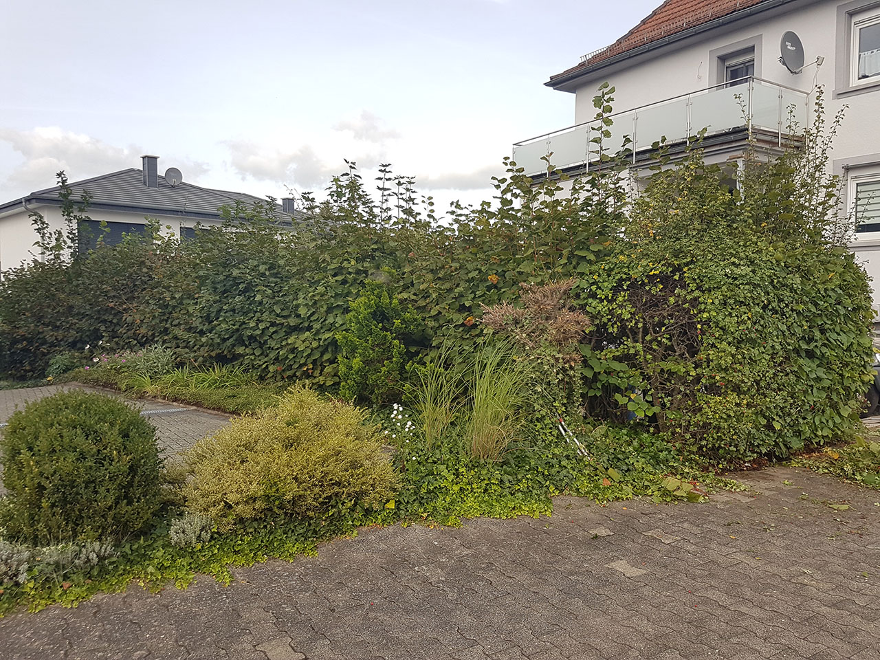 Vorher 2