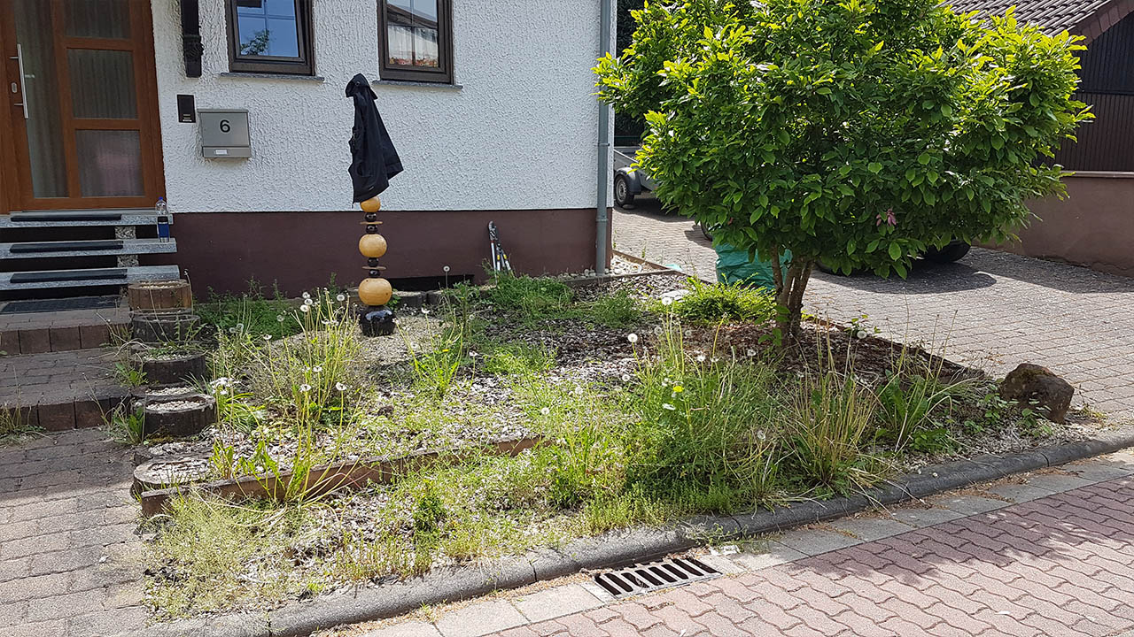 rääworm